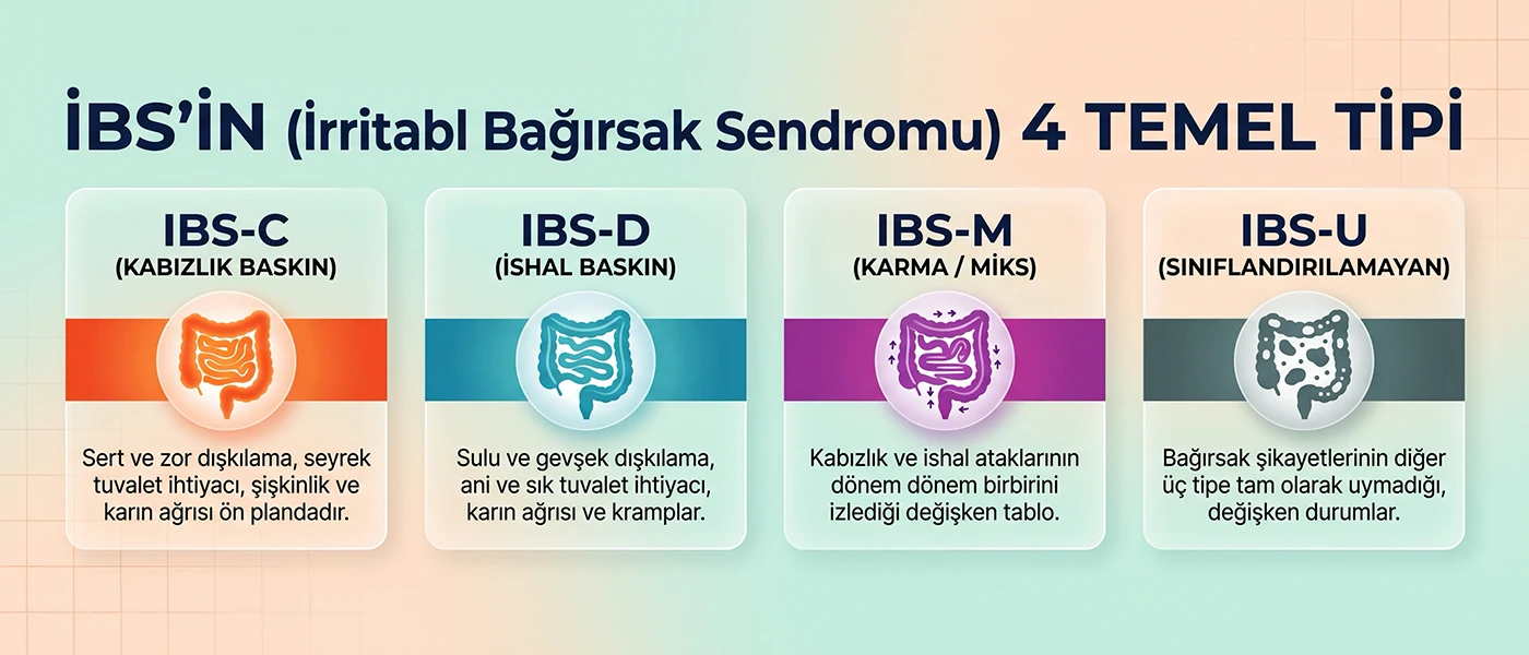 IBS Nedir?