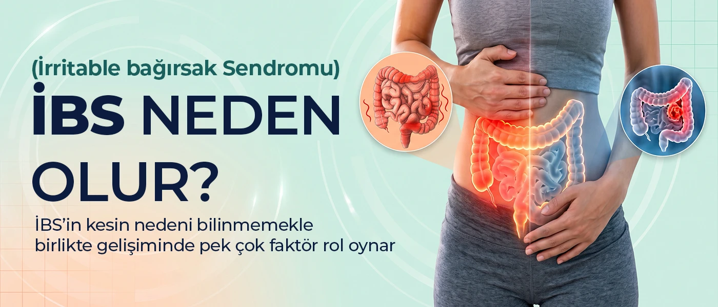 IBS Neden Olur?