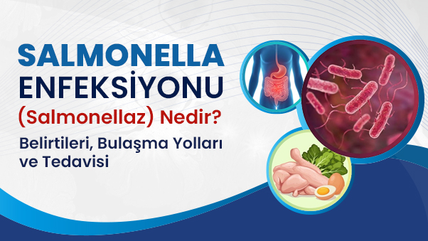 Salmonella Enfeksiyonu (Salmonelloz) Nedir? Belirtileri, Bulaşma Yolları ve Tedavisi